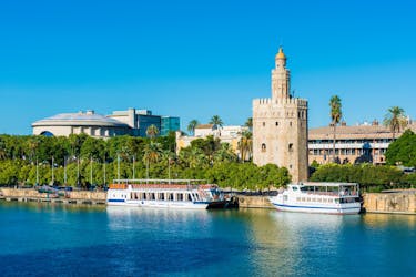 Private boat tour on the Guadalquivir up to 11 people